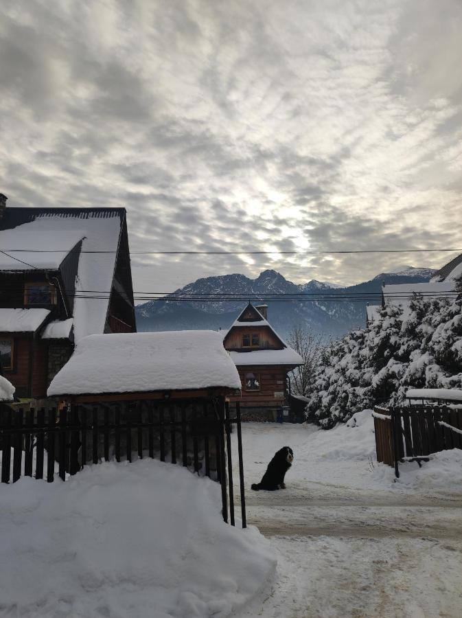 Apartamenty - Wymarzone Widoki Zakopane Exterior photo